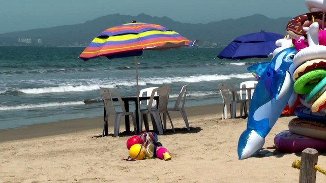 Alertan por presencia de cocodrilos en Bahía de Banderas | CPS Noticias Puerto Vallarta