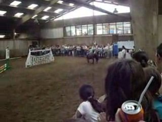 les shetlands en CSO ^^