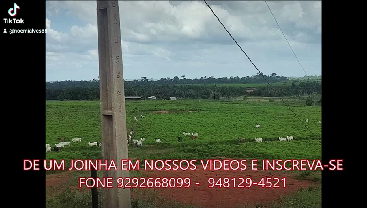 FAZENDA COM 2040 ALQUEIRÃO A VENDA CMC