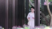 A Harbor in the Storm Drama English Sub Full Movie [ New Releases 2026]