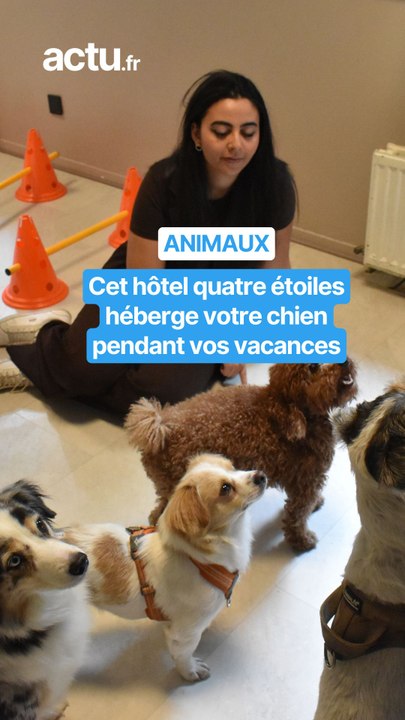 Hôtel pour chiens à Vincennes