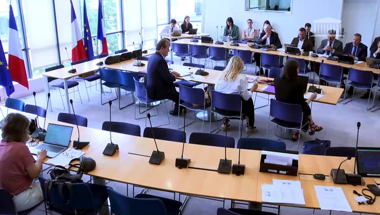 Commission des affaires européennes : Abandonner le conditionnement du renouvellement du permis de conduire à une visite médicale obligatoire ; Impacts des produits phytopharmaceutiques - Mercredi 1 juillet 2026