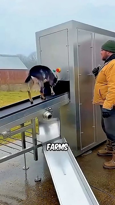 The Most HEARTBREAKING Animal Farms on Earth 💔😢 Cruelty You Won't Believe Exists