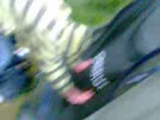 Paradis des tentes !