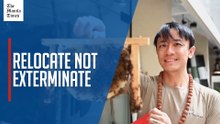 A Singapore bee rescuer's wish to turn fear into fascination