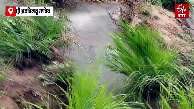 ਇੱਕ ਪਾਸੇ ਸੋਕਾ ਅਤੇ ਦੁਜੇ ਪਾਸੇ ਪਈ ਪਾਣੀ ਦੀ ਮਾਰ, ਕਿਸਾਨਾਂ ਦੇ ਹੋਏ ਬੁਰੇ ਹਾਲ