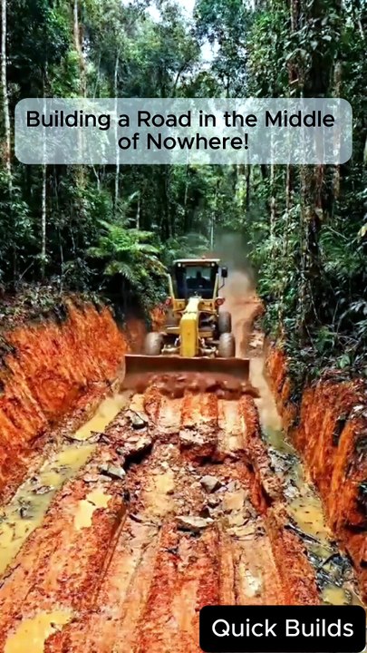 Building a Highway in the Wild! ✨🛣️ #shorts