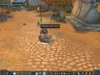 World of warcraft : meme les animaux s'amuse 2