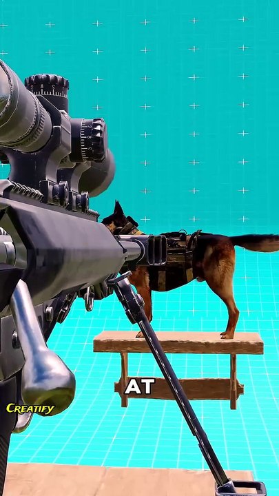 Bulletproof Dog Vest Explained 😯