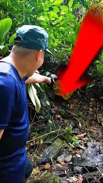 Craziest Treasure ever