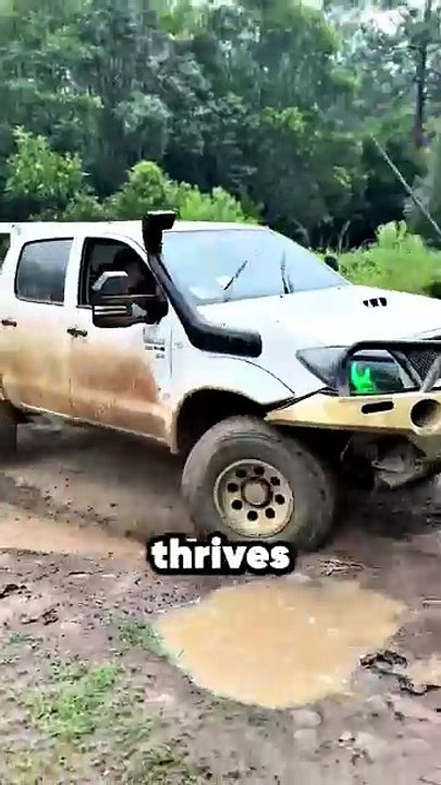 Can the Hilux Beat the G Wagon in 2025