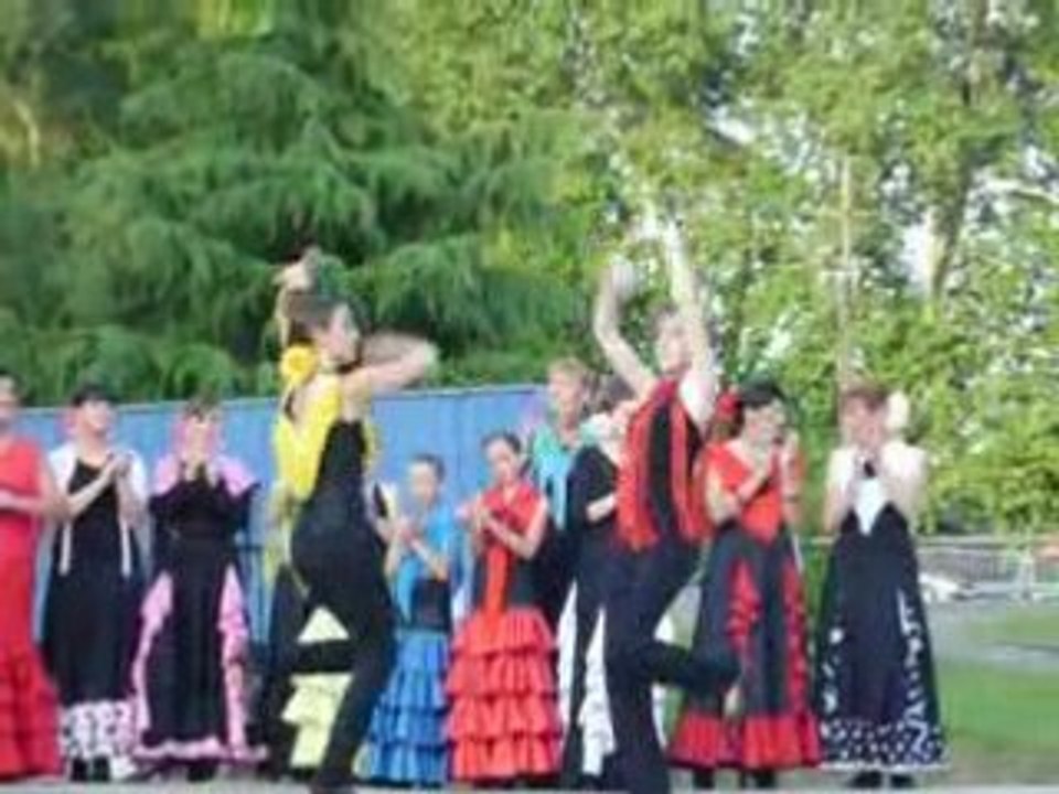 flamenca bodega idron