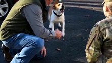 The heartbreaking moment he didn't recognize his soldier 💔🐾