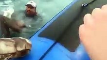 This Is the Reality of Ocean Pollution… But This Rescue Gives Us Hope.