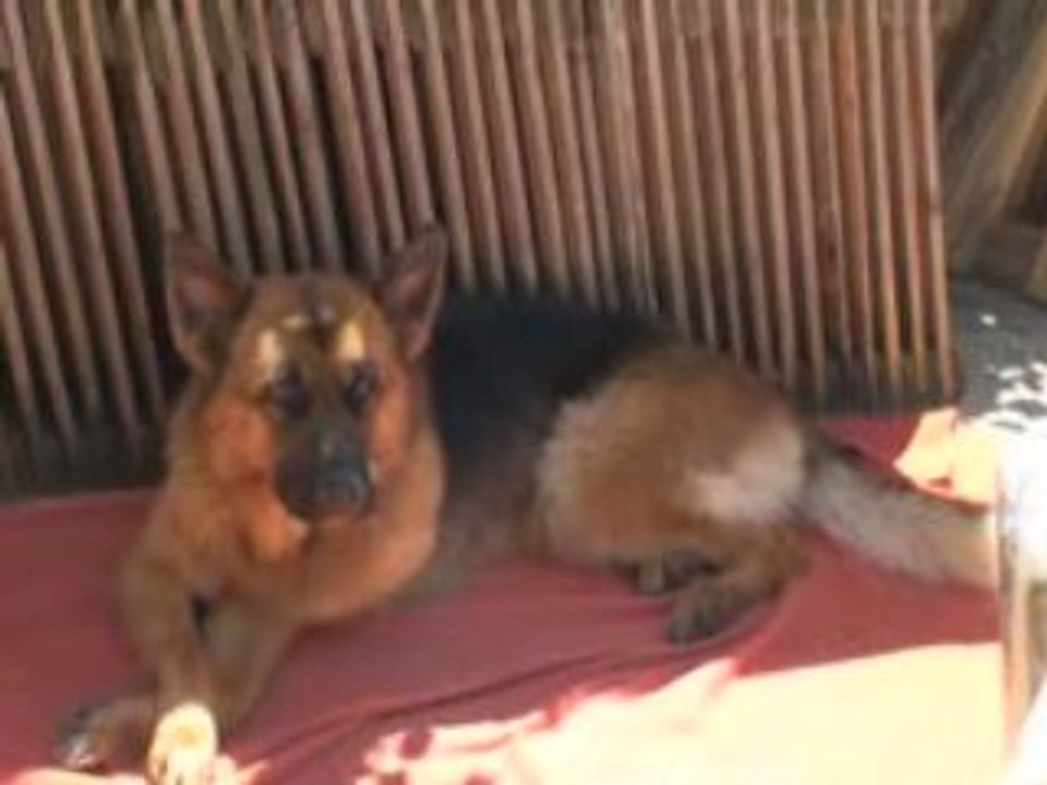 le bain de ADZARO la suite