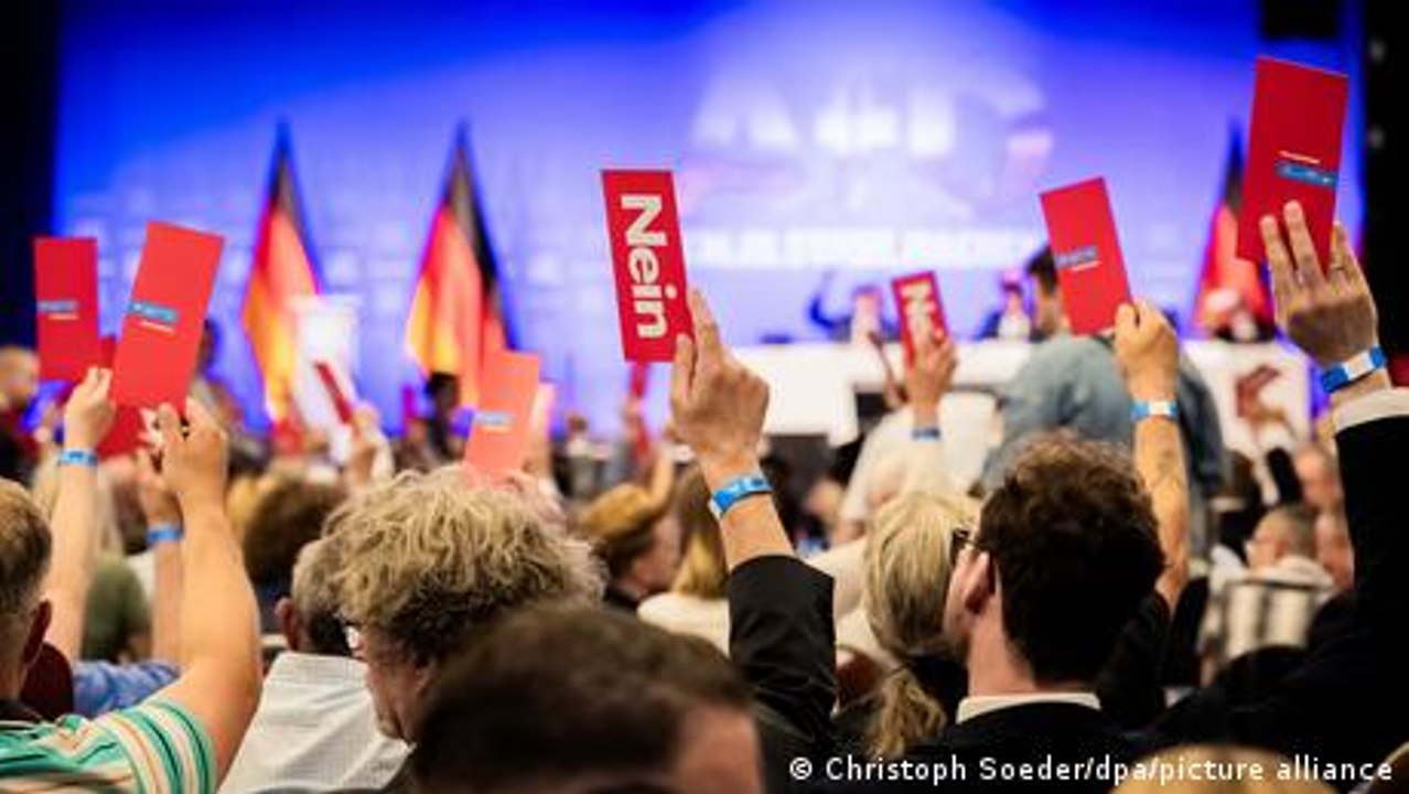 Major protests expected at Germany's AfD party conference