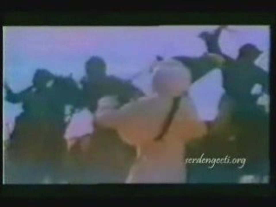Minik Dualar - Sehit Duasi