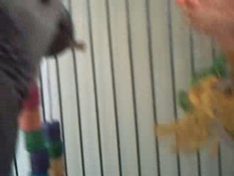 CLIP0013