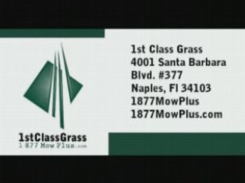 Free Estimate Call: (239) 465-4752 1st Class Grass Lawn ...