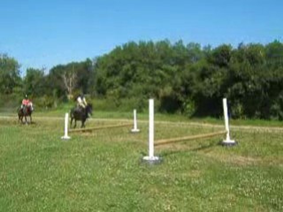 Donald & Moi ( cavalletis )