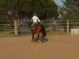 Hidalgo garrocha séance 3