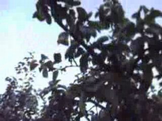 Délire avec doudoune