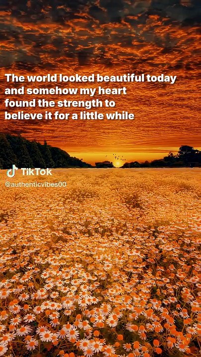 The world looked beautiful today, and somehow my heart found the strength to believe it for a little while