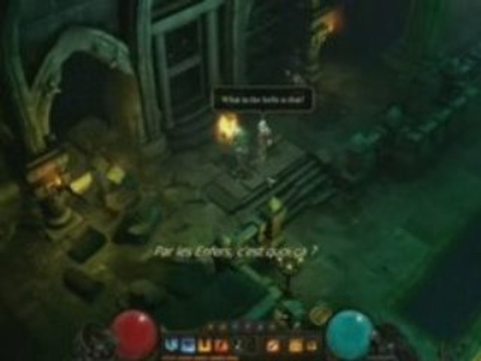 Diablo III - Le barbare et le sorcier-docteur