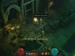 Diablo III - Le barbare et le sorcier-docteur
