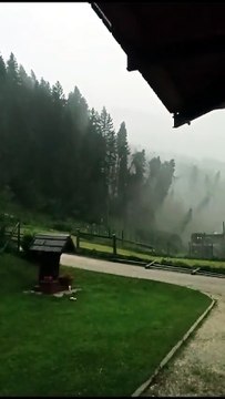 VIDEO | Al nord vento forte e grandine, una tromba d'aria abbatte gli alberi in Cadore