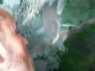 My job: kissing fish