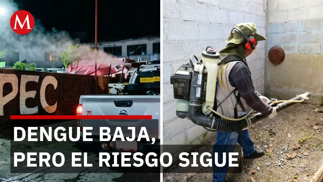 Dengue en Hidalgo desciende 88.5%, pero autoridades refuerzan medidas preventivas