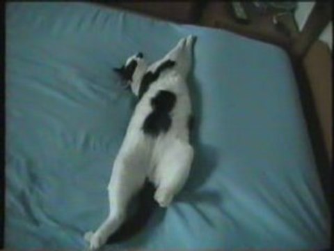 Posizioni insolite Positions insolites