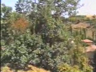 Amasya Saz Köyü (Sazköy) Muhtarligi
