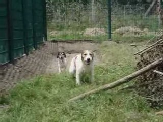 Le parc des Landais (Partie 4) - La découverte