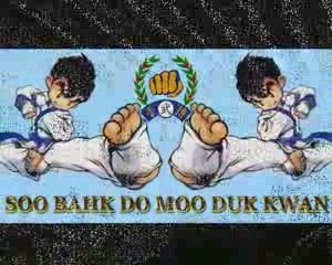 Championnat de Belgique 2008