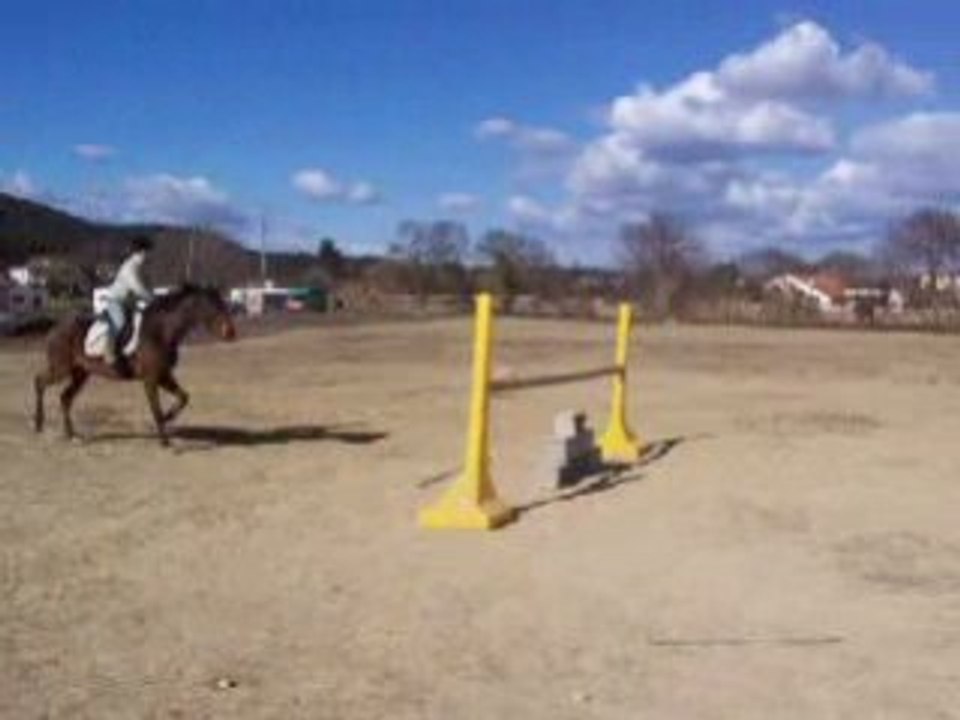 Giminy obstacle 1m30