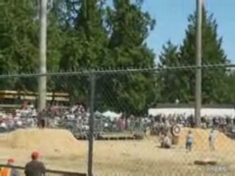 Fastest Tree Climber In The World