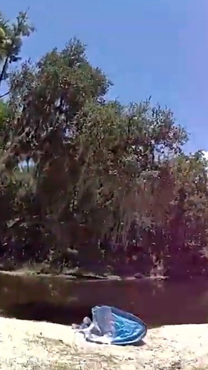 Officer responding to FL fatal alligator attack