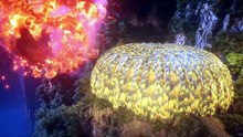 AnimeXin.dev shrouding ep 160 indo