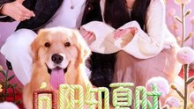 When the Sun Shines in Summer- Drama Movie English Sub