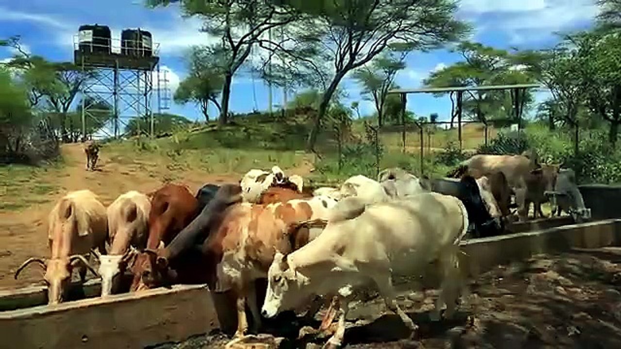 Storm in AFRICA