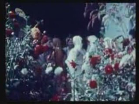 KOSOVO Prizren 1973 Serb weding.NOW all of them were KILLED.