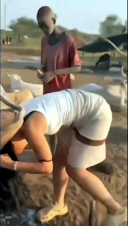 Woman Uses Cow Urine to Wash Hair in Rural Africa