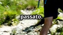 Ecco Cosa Succede Quando Lasci Andare-