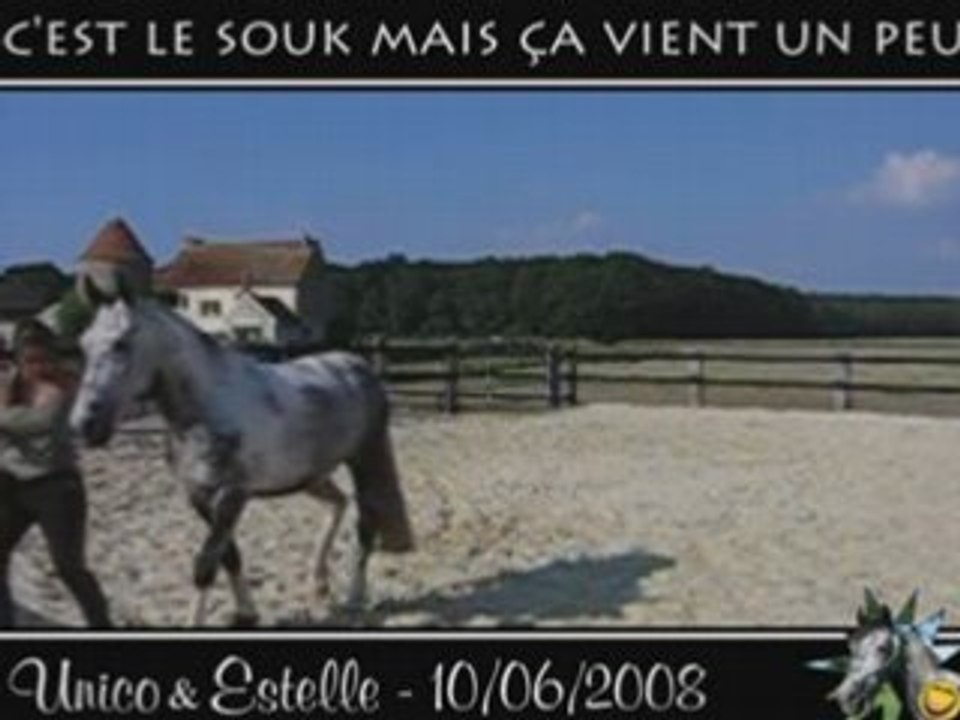 Unico, juin 2008, apprentissage du pas espagnol