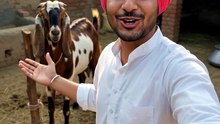 Punjabi comedy clip