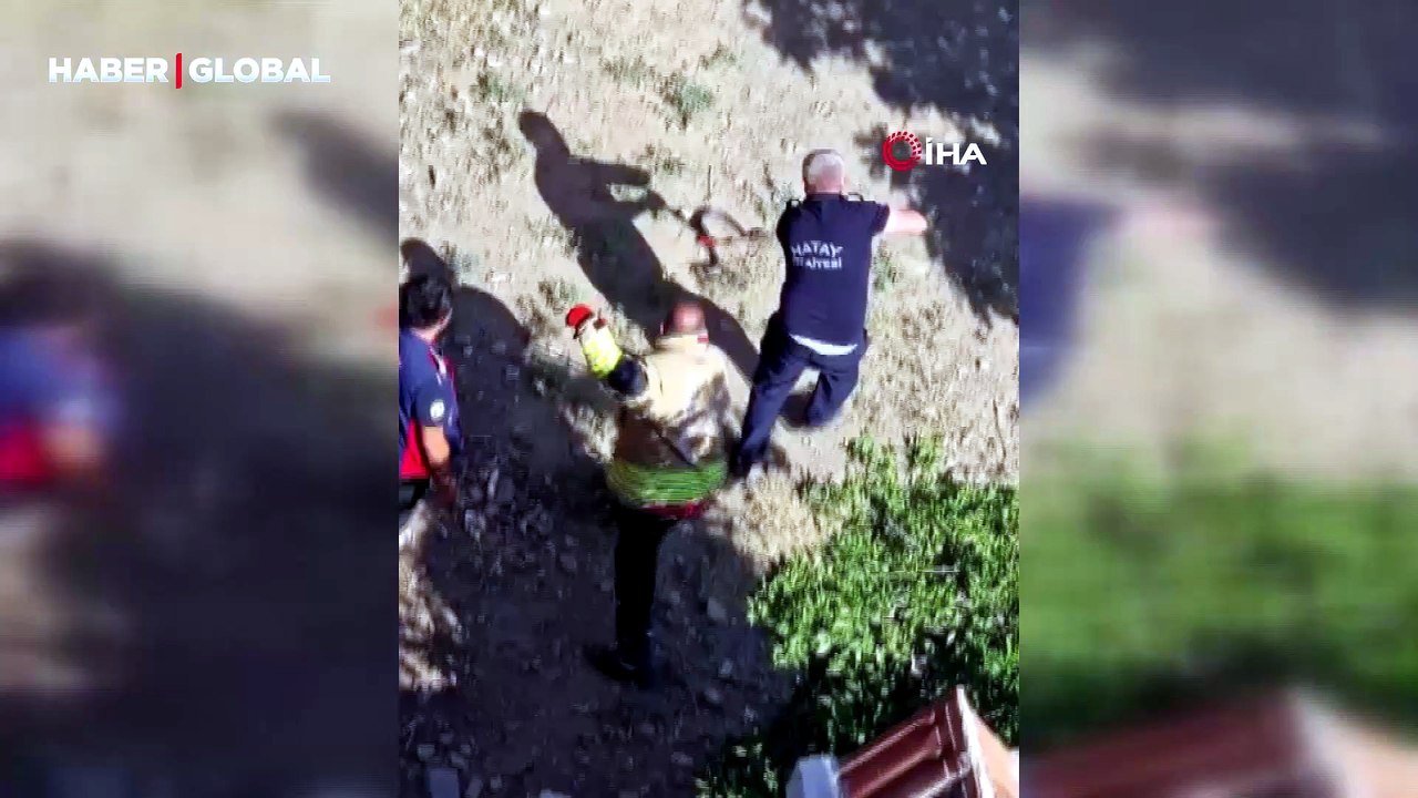 Hatay'da yılan paniği: İki kişi güçlükle zapt etti