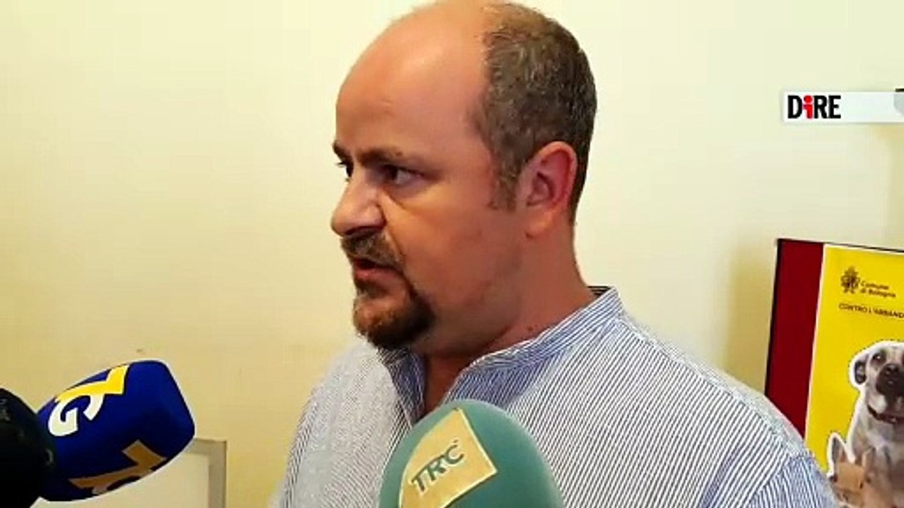 Il Comune di Bologna chiede di non abbandonare i conigli: "Chi li vede ce li segnali"