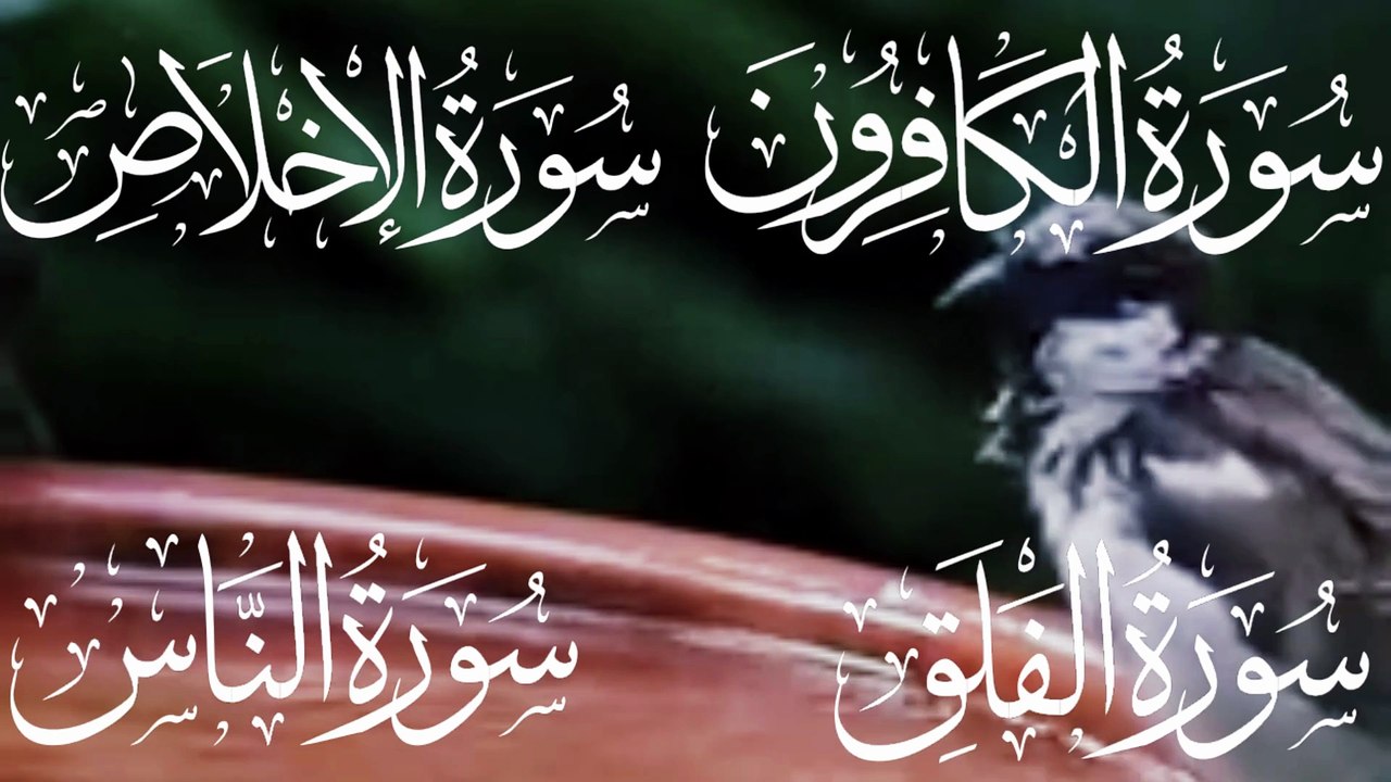 4 Qul Full | قل يا أيها الكافرون | قل هو الله أحد | قل أعوذ برب الفلق | قل أعوذ برب الناس | Beautiful Quran Recitation